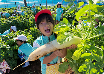 野菜収穫