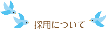 採用について